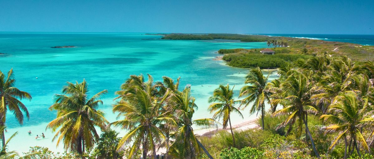 Explore the nearby Contoy Island from Isla Mujeres, Mexico