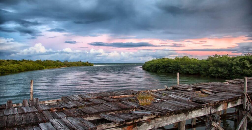 Amazing Views of Punta Laguna Nature Reserve in Tulum, Mexico