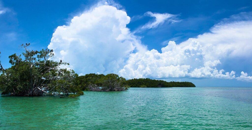 Explore the Sian Ka'an Biosphere Reserve in Tulum, Mexico