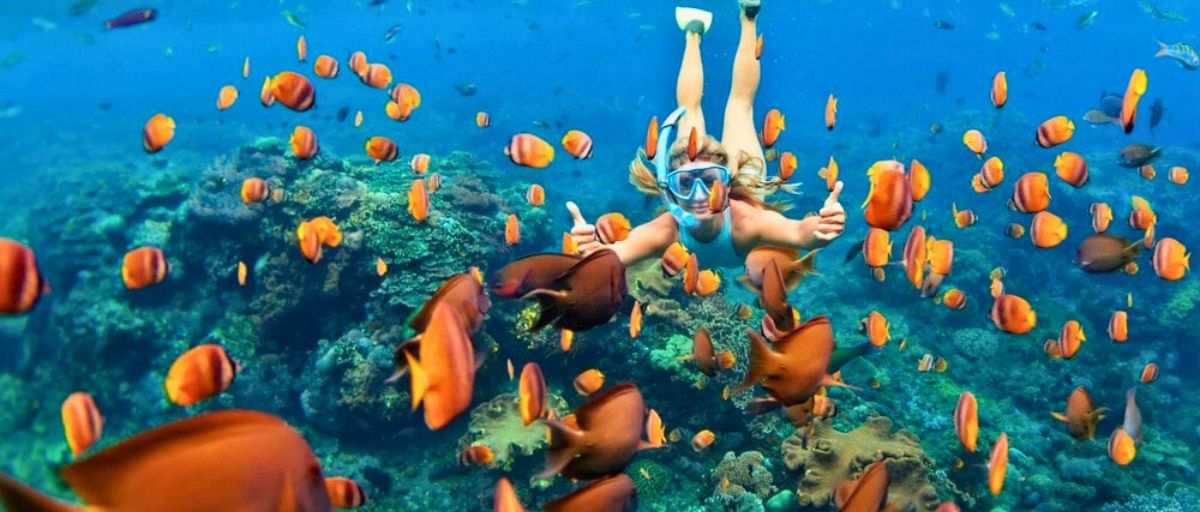 Snorkelling Mia Reef in Isla Mujeres, Mexico