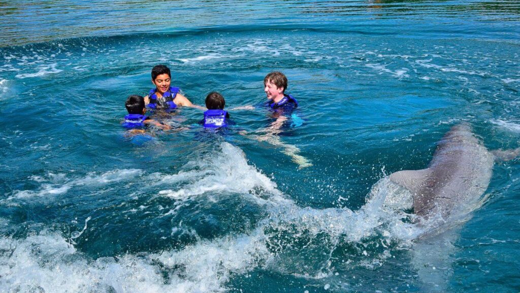 Swim with Dolphins in Playa del Carmen, Mexico