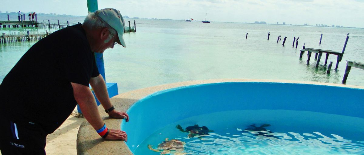 Turtle Farm (Tortugranja) in Isla Mujeres, Mexico